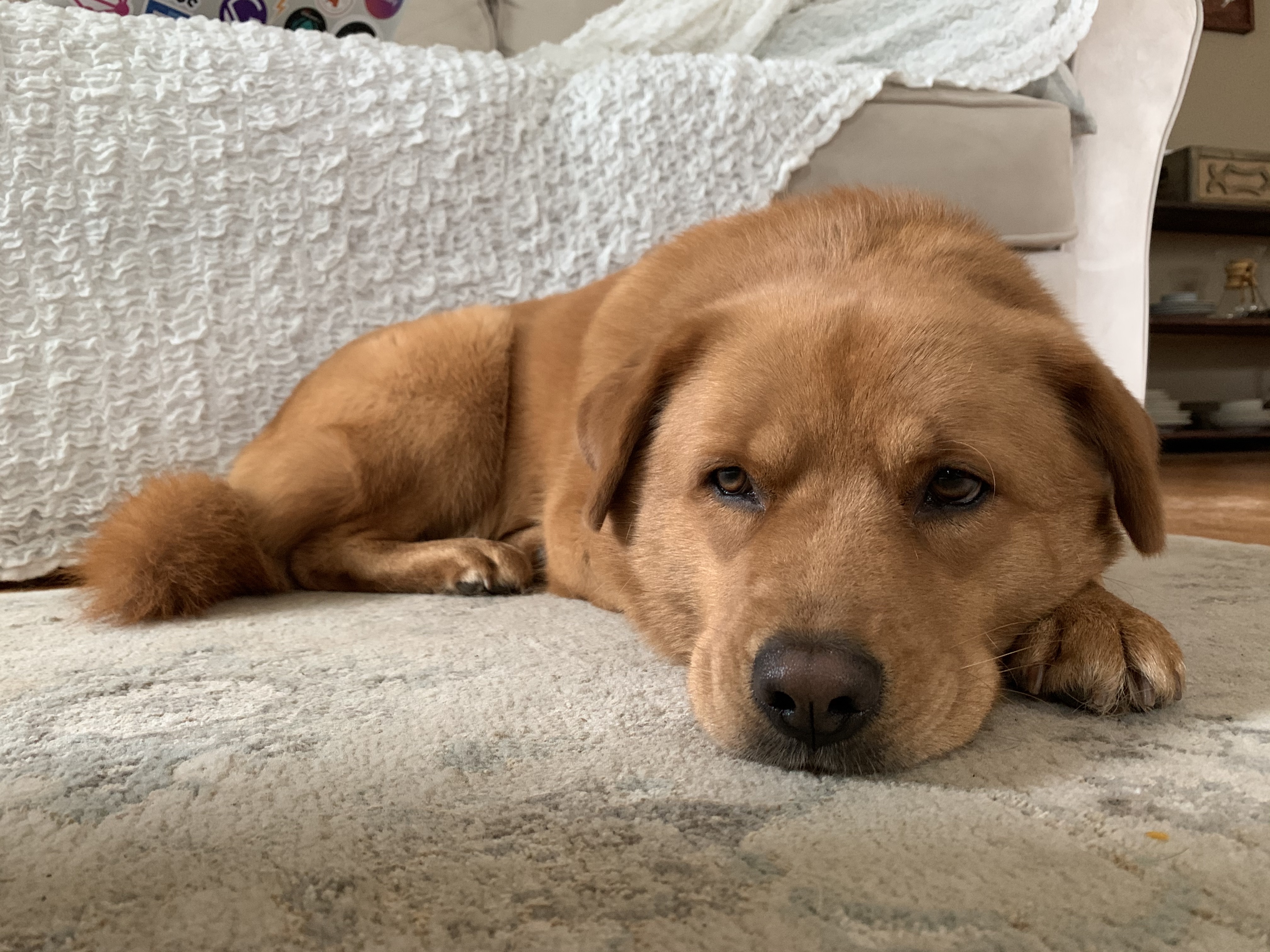 Going Home (Almost) - day 28